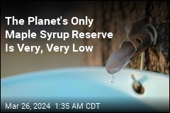 The World's Only Maple Syrup Reserve Is Very, Very Low