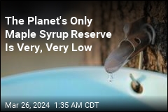 The World&#39;s Only Maple Syrup Reserve Is Very, Very Low