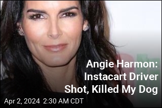Angie Harmon: Instacart Driver Shot, Killed My Dog