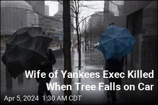 Wife of Yankees Exec Killed as Storm Pounds New York