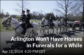 Arlington Won&#39;t Have Horses in Funerals for a While