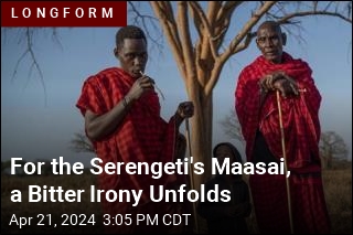 For the Serengeti&#39;s Maasai, a Bitter Irony Unfolds