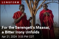 For the Serengeti&#39;s Maasai, a Bitter Irony Unfolds