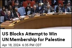 US Vetoes Resolution Backing UN Membership for Palestine