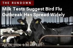 FDA: 1 in 5 Milk Samples Has Traces of Bird Flu