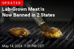 DeSantis Bans Lab-Grown Meat