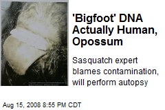 'Bigfoot' DNA Actually Human, Opossum