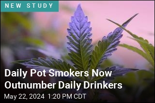 Daily Pot Smokers Now More Common Than Daily Drinkers