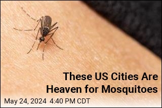 These US Cities Are Heaven for Mosquitoes