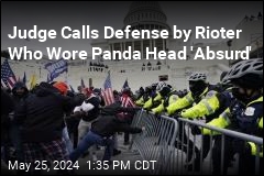 Judge Calls Defense by Rioter Who Wore Panda Head &#39;Absurd&#39;