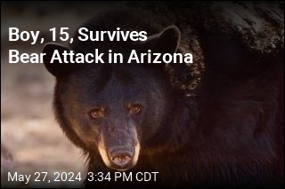 Boy, 15, Survives Bear Attack in Arizona