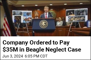 Company Ordered to Pay $35M in Beagle Neglect Case
