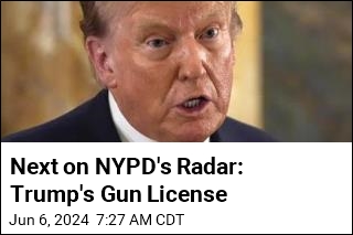 Report: NYPD Seeks to Revoke Trump&#39;s Gun License