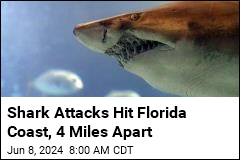 Shark Attacks Hit Florida Coast, 4 Miles Apart