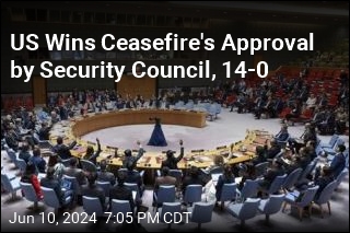 Security Council Unites Behind US-Backed Ceasefire Plan