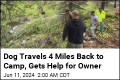Dog Travels 4 Miles Back to Camp, Gets Help for Owner