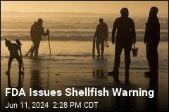 FDA Warns of Poisoning From Shellfish in 2 States