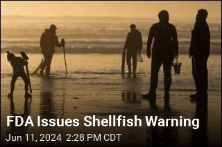FDA Warns of Poisoning From Shellfish in 2 States