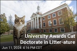 University Awards Cat Doctorate in Litter-ature