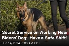 Report: Secret Service Griped Bidens&#39; Dog Should Be Muzzled