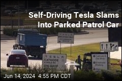 Officer Jumps Out of Way Before Self-Driving Tesla Crash