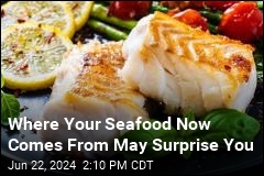Where Your Seafood Now Comes From May Surprise You