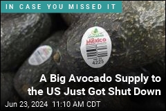 We May Soon See a Spike in Avocado Prices