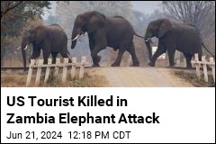 US Tourist Killed in Zambia Elephant Attack