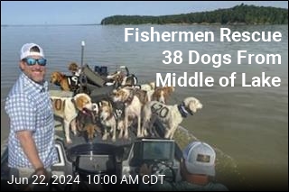 They Went to Catch Fish, Caught 38 Dogs Instead