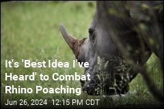 To Deter Poachers, Rhino Horns Go Radioactive