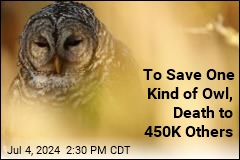 To Save One Kind of Owl, Death to Another