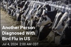 4th Person in US Diagnosed With Bird Flu