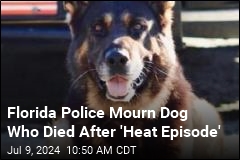 Police Dog in Florida Dies After &#39;Heat Episode&#39;