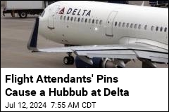 Flight Attendants&#39; Pins Cause a Hubbub at Delta