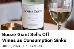 Alcohol Giant Selling Bulk of Wine Portfolio
