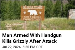 Man Armed With Handgun Kills Grizzly After Attack