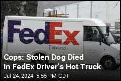 Cops: Stolen Dog Died in FedEx Driver&#39;s Hot Truck