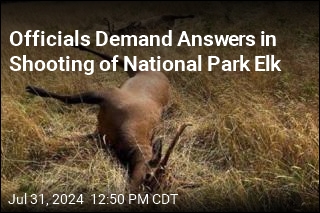 Officials Demand Answers in Shooting of National Park Elk