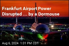 Frankfurt Airport Sees Disruption ... by a Dormouse