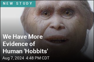 We Have More Evidence of Human &#39;Hobbits&#39;