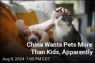 China Wants Pets More Than Kids, Apparently