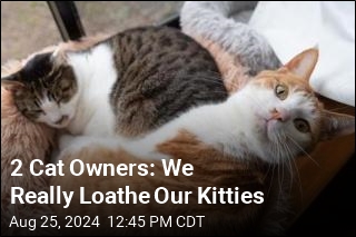 These 2 Owners Really Do Not Like Their Cats