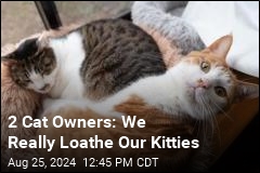 These 2 Owners Really Do Not Like Their Cats