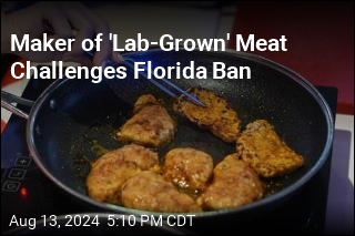 Maker of &#39;Lab-Grown&#39; Meat Sues Florida Over Ban