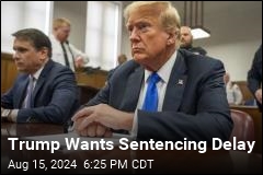 Trump Seeks Postponement in Hush-Money Sentencing