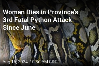 Woman Dies in Province&#39;s 3rd Fatal Python Attack Since June