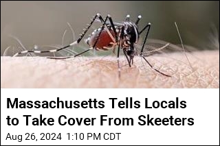 Massachusetts Tells Locals to Take Cover From Skeeters