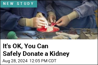 It&#39;s OK, You Can Safely Donate a Kidney