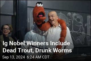 Ig Nobel Winners Include Dead Trout, Drunk Worms