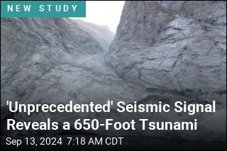 &#39;Unprecedented&#39; Seismic Signal Reveals a 650-Foot Tsunami